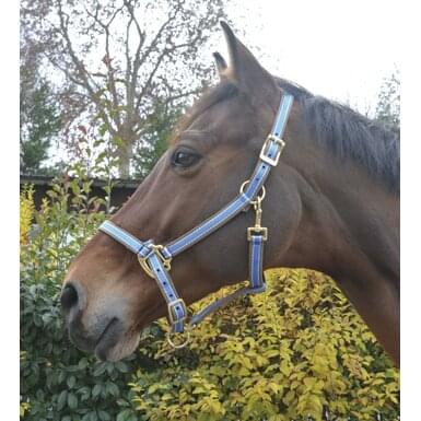 Kolorowy kantar dla kuca EQUITHÈME „Polyfun”