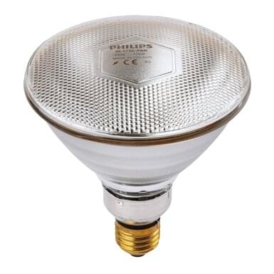 Promiennik Philips IR PAR 175W