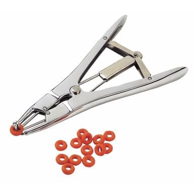 KAMER Zacisk do kastracji | stal