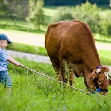 Liny i kantary | horizont Rolos