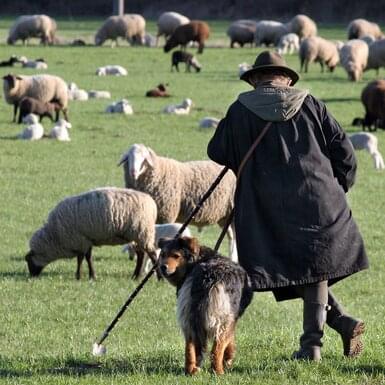 Drążki & haki chwytające | horizont Rolos
