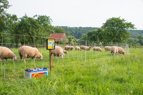 Ogrodzenia elektryczne