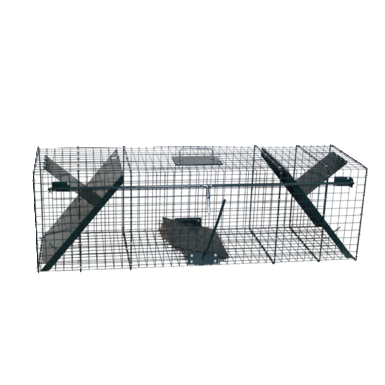 Żywa pułapka na szopy, lisy i kuny | 2 drzwi | 100 x 30 x 30 cm