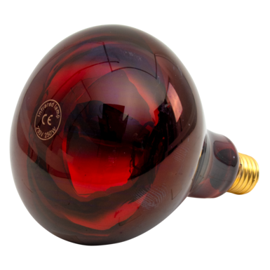 Energooszczędna lampa podczerwieni | 250 Watt | Czerwona