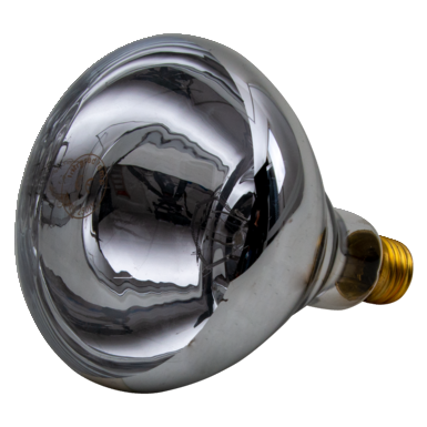 Infrarotlampe 250W ws