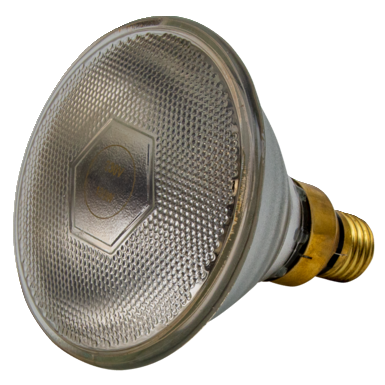 Infrarotlampe 100 Watt ws PAR