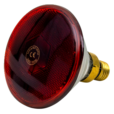 Infrarotlampe 100 Watt rt PAR